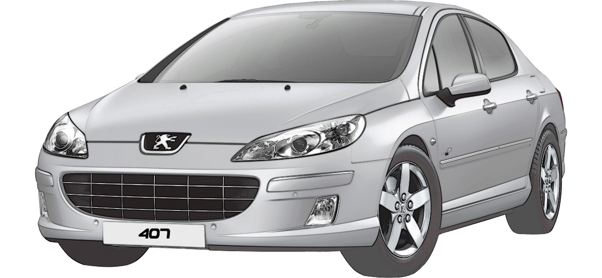 Despiece de PEUGEOT 407 SW