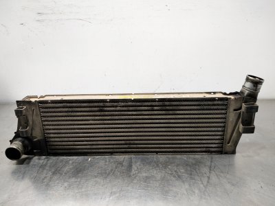 INTERCOOLER RENAULT MEGANE II BERLINA 5P Authentique