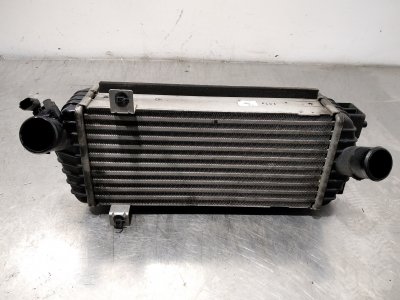INTERCOOLER de Essence BlueDrive 2WD 