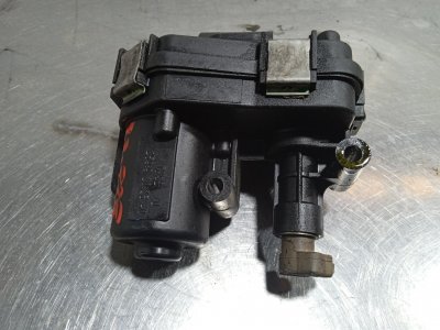 motor-de-la-mariposa de Cosmo 