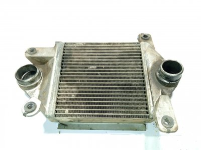 INTERCOOLER NISSAN TERRANO/TERRANO.II (R20) Comfort