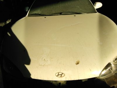 CAPOT HYUNDAI COUPE (RD) 1.6 FX