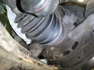 MANGUETA DELANTERA DERECHA OPEL VECTRA B BERLINA 2.2 16V DTI CAT (Y 22 DTR / L50)