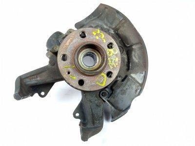 MANGUETA DELANTERA IZQUIERDA SEAT LEON (1M1) 1.9 TDI