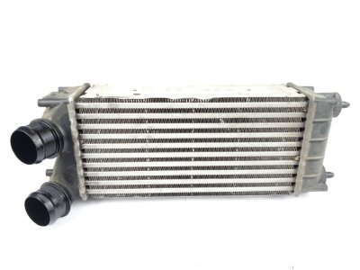 radiador-intercooler de Business 