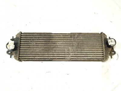 RADIADOR INTERCOOLER de 1.9 dCi 100 (EL0C) 