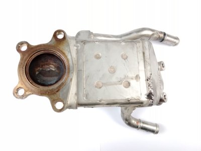 enfriador-gases de 1.5 D (BMLFP) 