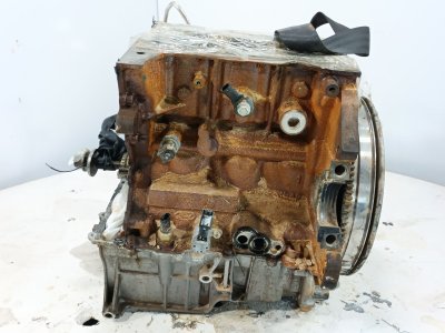 motor-completo de 1.0 EcoBoost mHEV 