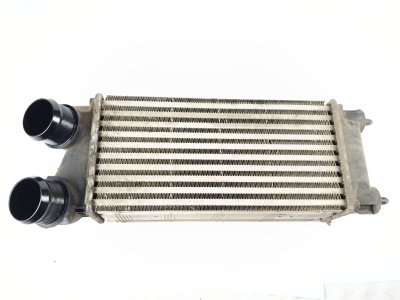 radiador-intercooler de 1.6 BlueHDi 100 