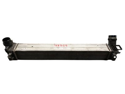 radiador-intercooler de 1.2 TCe (JZ16) 