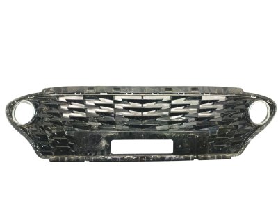 REJILLA PARAGOLPES DELANTERO