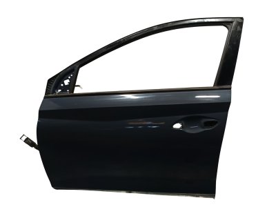 PUERTA DELANTERA IZQUIERDA