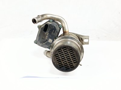 VALVULA EGR de BlueMotion 