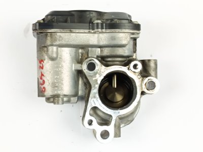 valvula-egr de 1.5 dCi 115 (FW17) 