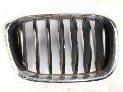 REJILLA PARAGOLPES CENTRAL