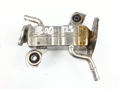 enfriador-gases de 2.0 i e-BOXER AWD (GTE) 