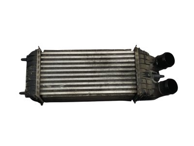 radiador-intercooler de 1.6 BlueHDi 100 