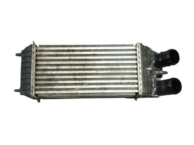 radiador-intercooler de 1.5 BlueHDI 100 