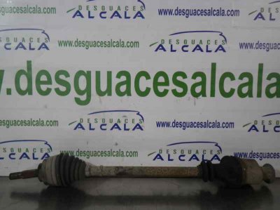 TRANSMISION DELANTERA DERECHA RENAULT CLIO II FASE I (B/CBO) 1.9 D