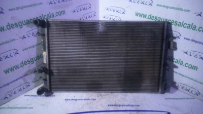 RADIADOR AGUA SEAT IBIZA (6L1) Ecomotive