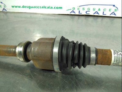 PILOTO TRASERO DERECHO SEAT TOLEDO (1M2) Select