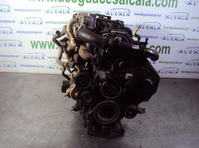 MOTOR COMPLETO FORD FOCUS BERLINA (CAP) Ambiente (D)