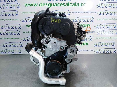 MOTOR COMPLETO AUDI A3 (8P) 2.0 TDI Ambiente