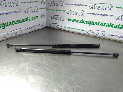 AMORTIGUADORES MALETERO / PORTON SEAT LEON (1M1) Signo