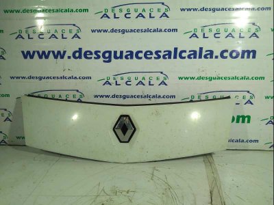 REJILLA DELANTERA RENAULT KANGOO Dynamique