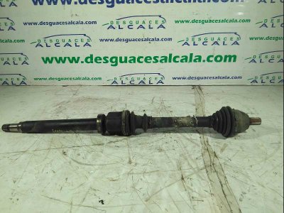 TRANSMISION DELANTERA DERECHA FORD FOCUS BERLINA (CAP) Ambiente (D)