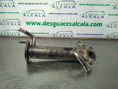 ENFRIADOR GASES FORD TRANSIT COMBI ´06 2.4 TDCi CAT