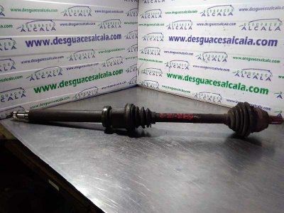 TRANSMISION DELANTERA DERECHA FORD FOCUS BERLINA (CAP) Ambiente (D)