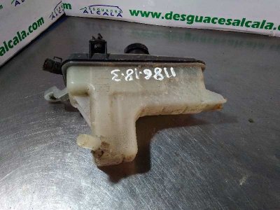 DEPOSITO EXPANSION TOYOTA RAV 4 (A3) Executive