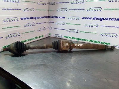 TRANSMISION DELANTERA DERECHA FORD FOCUS BERLINA (CAP) Ghia