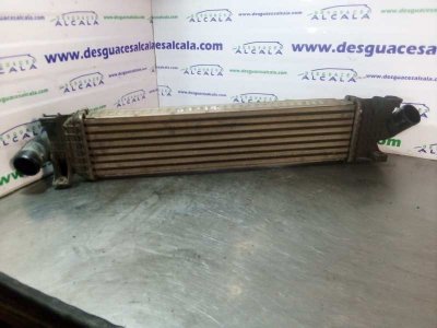 INTERCOOLER de Trend 