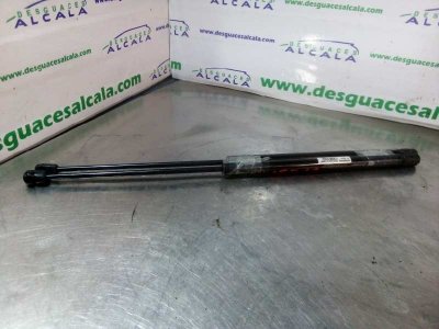 AMORTIGUADORES MALETERO / PORTON de 170 CDI (168.008) 