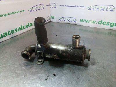 ENFRIADOR GASES FORD FOCUS LIM. (CB4) Trend