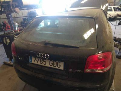 PORTON TRASERO AUDI A3 (8P) 2.0 TDI Ambiente