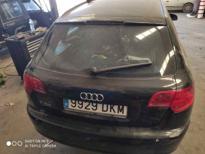 PORTON TRASERO AUDI A3 (8P) 2.0 TDI Ambiente