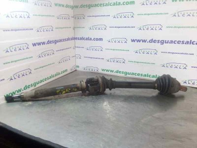 TRANSMISION DELANTERA DERECHA FORD FOCUS BERLINA (CAP) Ambiente (D)