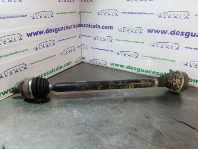 TRANSMISION DELANTERA DERECHA SEAT TOLEDO (KG3) Reference