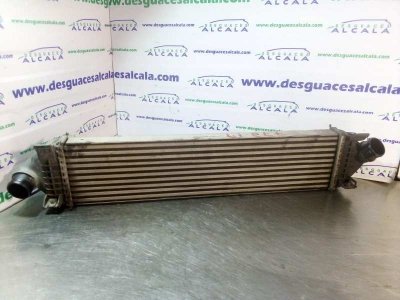 INTERCOOLER de Trend 