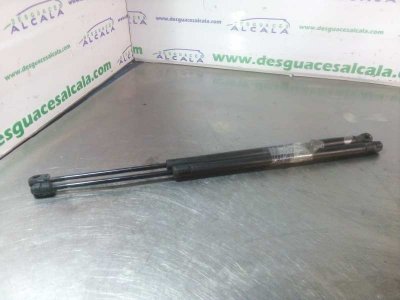 AMORTIGUADORES MALETERO / PORTON de 2.2 D-4D Luna 