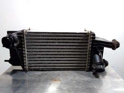 INTERCOOLER NISSAN NV 200 (M20) Kasten Premium