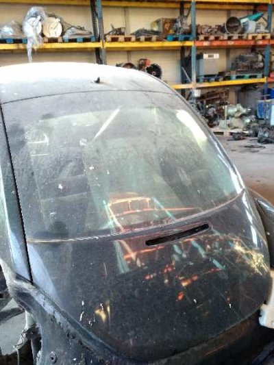 PORTON TRASERO VOLKSWAGEN NEW BEETLE (9C1/1C1) 1.9 TDI