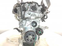 Modelo: SPORTAGE V (NQ5)