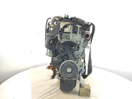 FOCUS BERLINA (CAP)