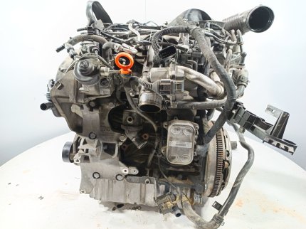 TIGUAN (5N_)