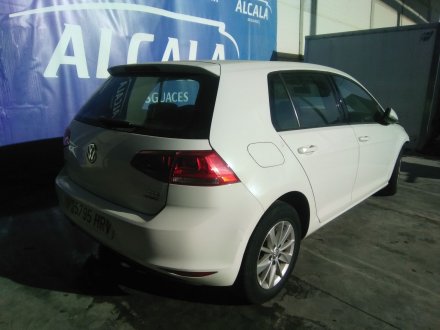 Vehiculo en el desguace: VOLKSWAGEN GOLF VII LIM. Edition BlueMotion