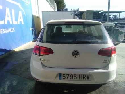 Vehiculo en el desguace: VOLKSWAGEN GOLF VII LIM. Edition BlueMotion